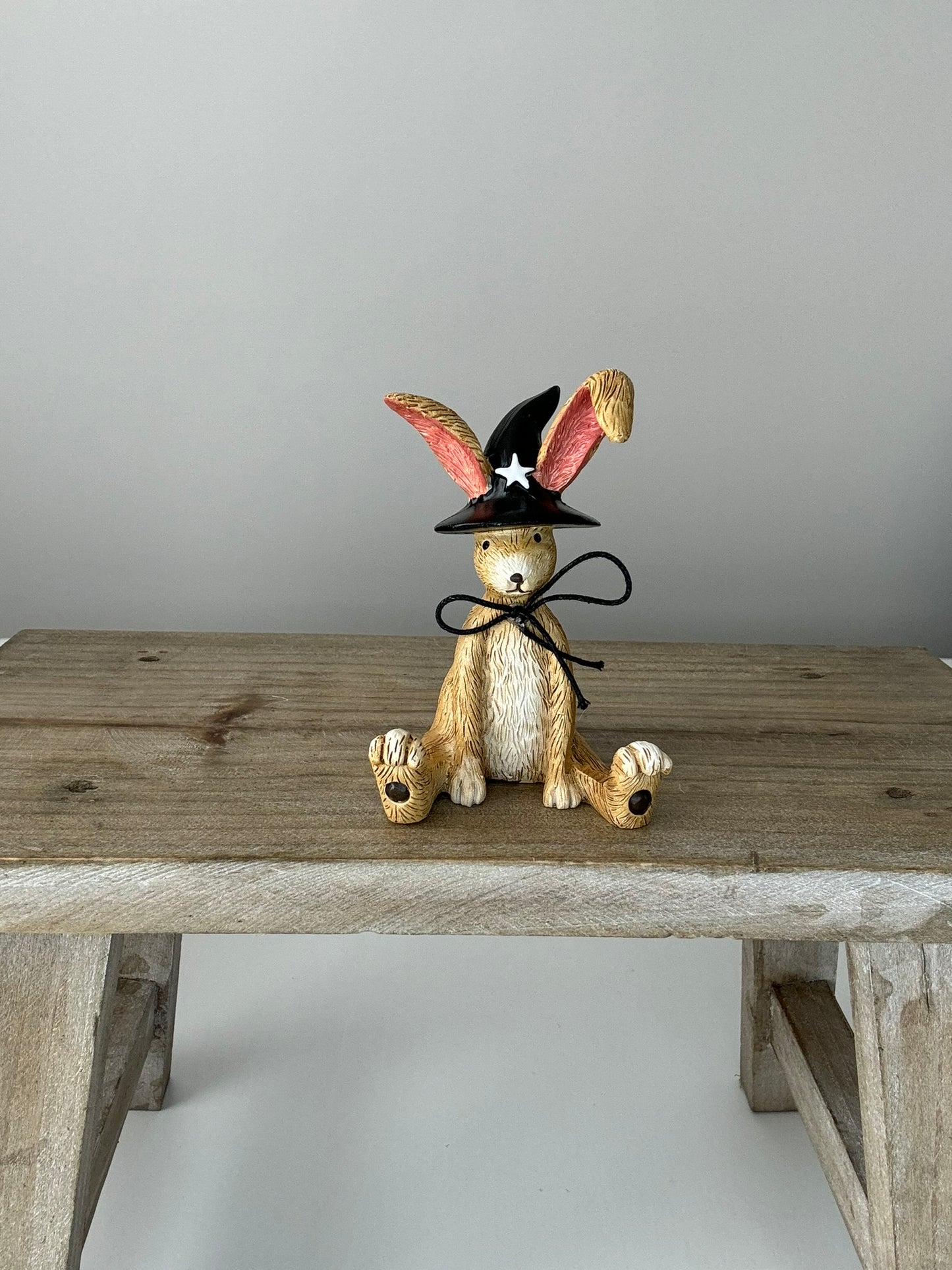 Jasper Rabbit Sitting Witch