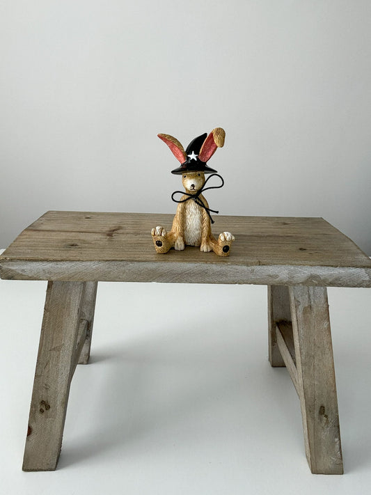 Jasper Rabbit Sitting Witch